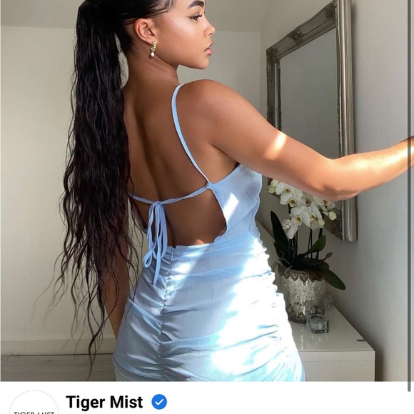 Tiger Mist Cindi Dress - Picture 3 of 4